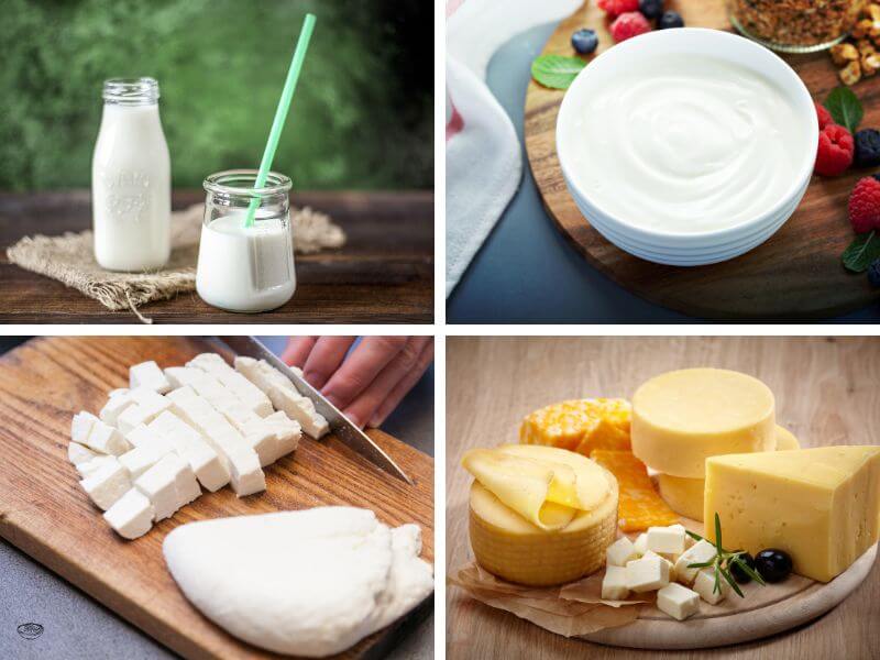 Best 7 Protein Rich Foods for Pregnant Women (Vegetarian) 3 Dairy Products Milk, Yogurt, Paneer, Cheese