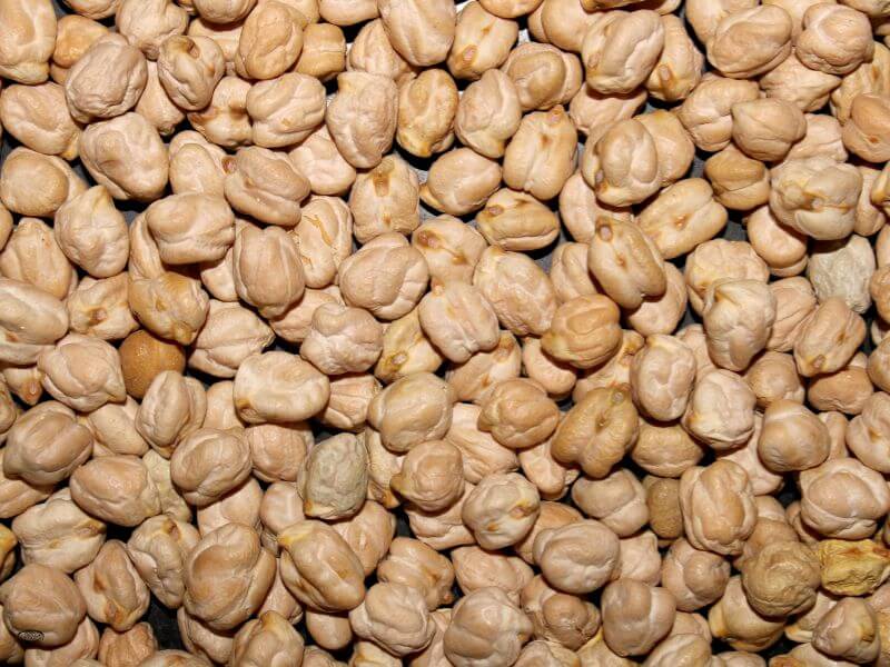 Kabuli Chana