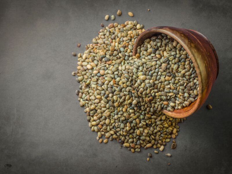 Kulthi Dal