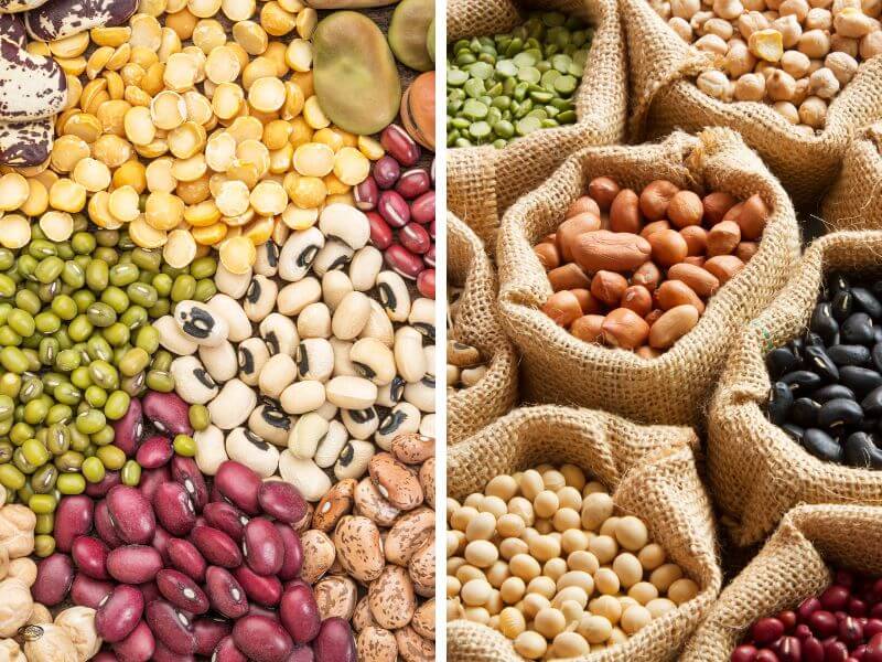 Best 7 Protein Rich Foods for Pregnant Women (Vegetarian) 2 Lentils and Legumes